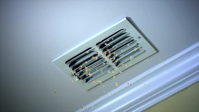 Best Ductwork Cleaning Services  in Flemington, NJ