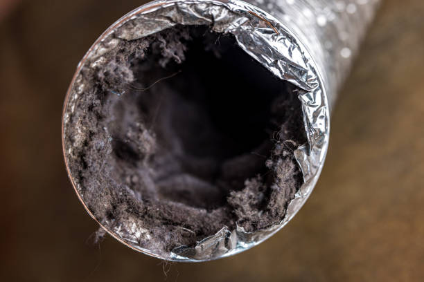 Air Duct Mold Removal in NJ