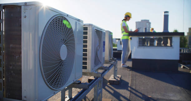 Best Air Duct Mold Removal  in Flemington, NJ