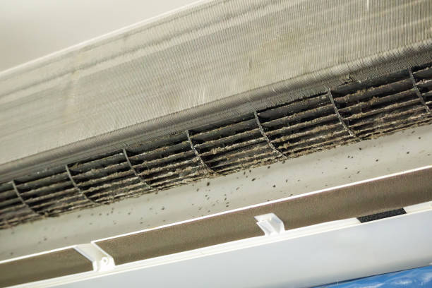 Best Commercial Air Duct Cleaning  in Flemington, NJ