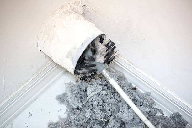 Best Local Air Duct Cleaning Services  in Flemington, NJ
